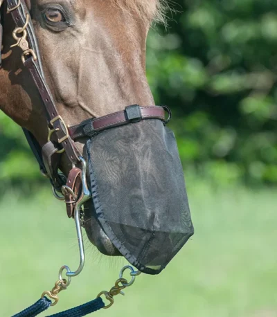 Quiet Ride Horse Nose Fly Net