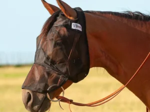 Quiet Ride Long Nose Horseback Riding Horse Fly Mask.