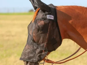 Quiet Ride Long Nose Horseback Riding Horse Fly Mask with Ears.