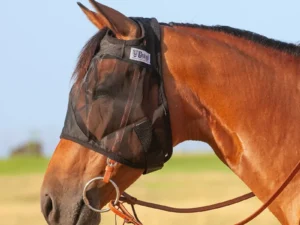 Quiet Ride Horseback Riding Horse Fly Mask