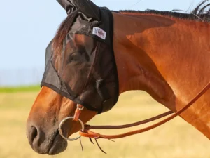 Quiet Ride Horseback Riding Horse Fly Mask with Ears