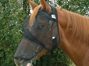 A horse wearing a Quiet Ride Long Nose Horseback Riding Horse Fly Mask.