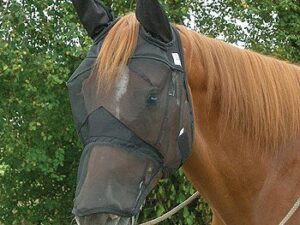 A horse wearing a Quiet Ride Long Nose Horseback Riding Horse Fly Mask with Ears.