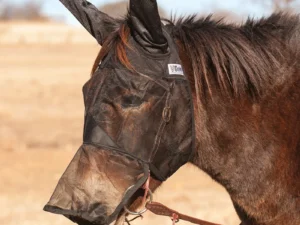 Cashel Quiet Ride Long Mule Ears Horseback Riding Fly Mask