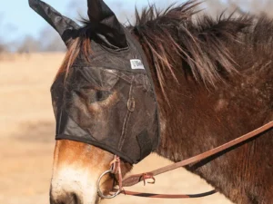 Cashel Quiet Ride Standard Mule Fly Mask With Ears