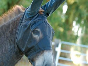 Cashel Quiet Ride Long Mule Ears Horseback Riding Fly Mask
