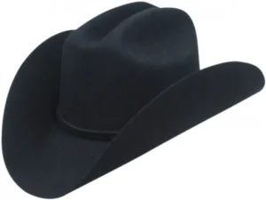 Economy Wool Felt Taco Brim Black Cowboy Hat