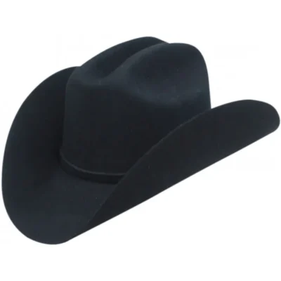 Economy Wool Felt Taco Brim Black Cowboy Hat