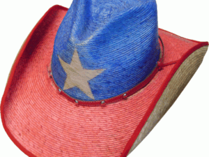 A Palma Verde Texas Pride Straw Cowboy Hat with a star on it.