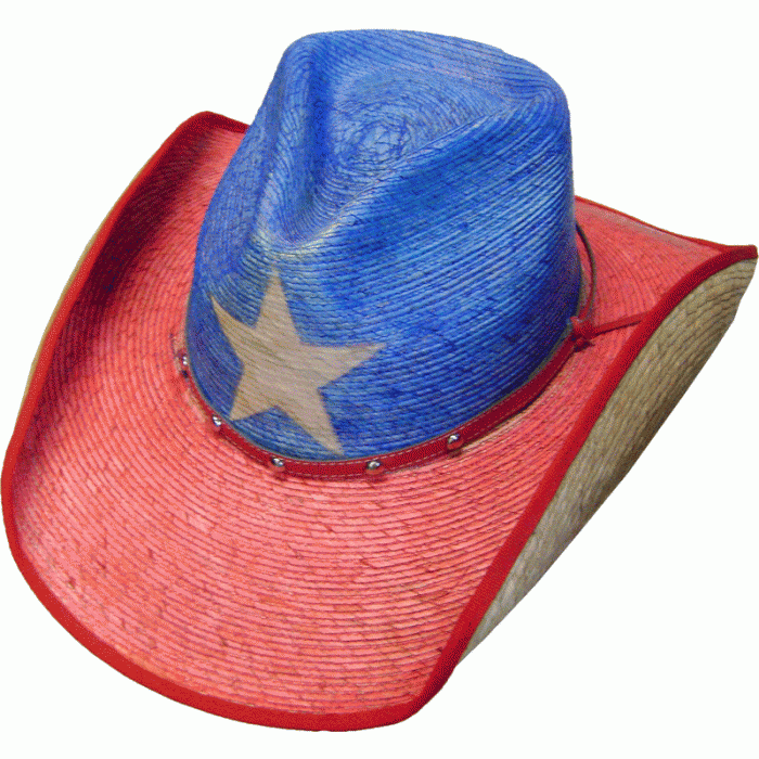 A Palma Verde Texas Pride Straw Cowboy Hat with a star on it.