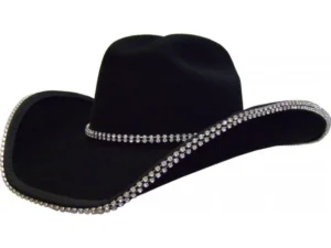 Double Row Rhinestone Cowboy hat band Bounded Edge