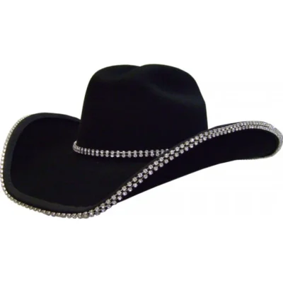 Double Row Rhinestone Cowboy hat band Bounded Edge