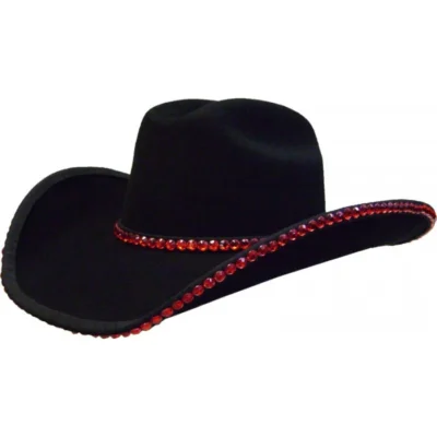 Double Row Rhinestone Cowboy hat band Bounded Edge