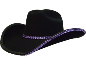 Double Row Rhinestone Cowboy hat band Bounded Edge