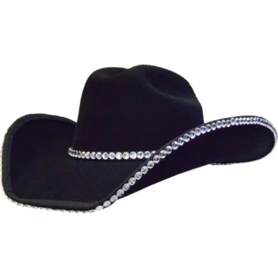 Double Row Rhinestone Cowboy hat band Bounded Edge