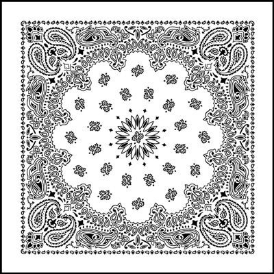 A black and white paisley pattern on a white background.