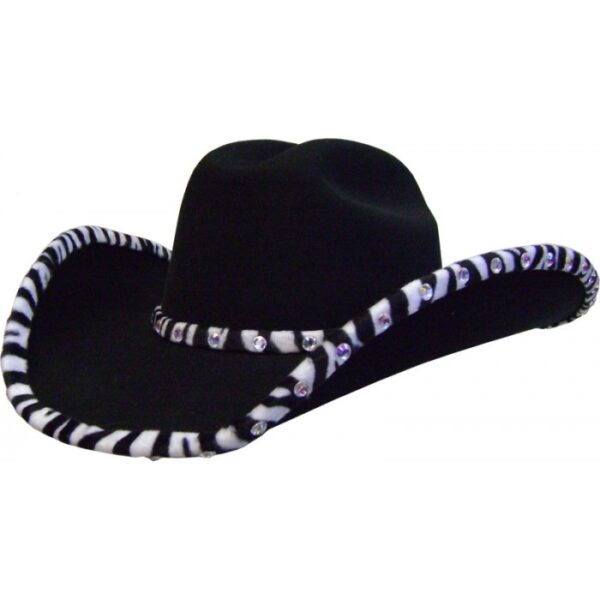 Double Row Clear Rhinestone Bounded Matching Hat Band