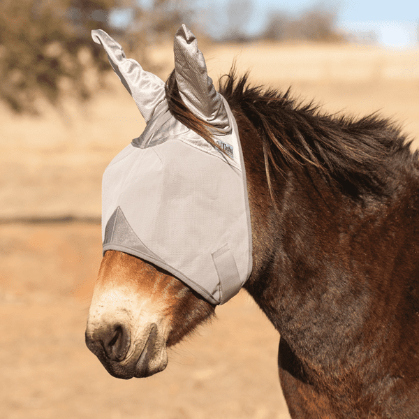 A donkey wearing a MULE- Crusader Fly Mask with Covered Ears UV Rated in a field.