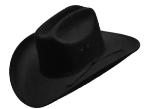 A Black Faux Felt Cowboy Hat Ribbon band on a white background.