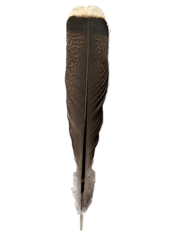 Natural Turkey Feather for a Cowboy Hat – Square Top 11" 1 Natural Turkey Feather for a Cowboy Hat - Square Top