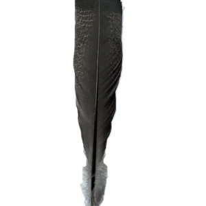 Natural Turkey Feather for a Cowboy Hat – Square Top 11"