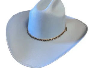 light blue straw cowboy hat