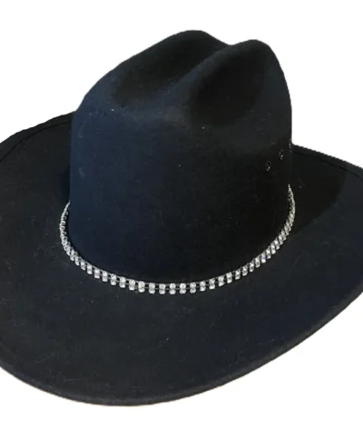 Rhinestone cowboy hat band