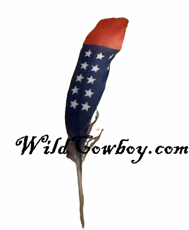 F20 FLAG FEATHER